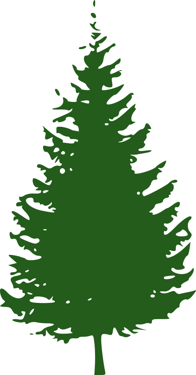 Fir tree Conifer Nature Stickdatei – Natur
