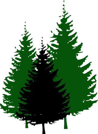 Fir trees Nature Forest Stickdatei