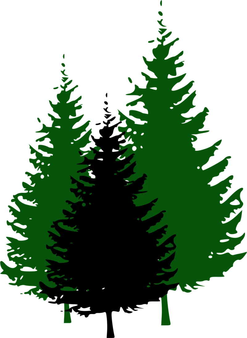 Fir trees Nature Forest Stickdatei – Natur