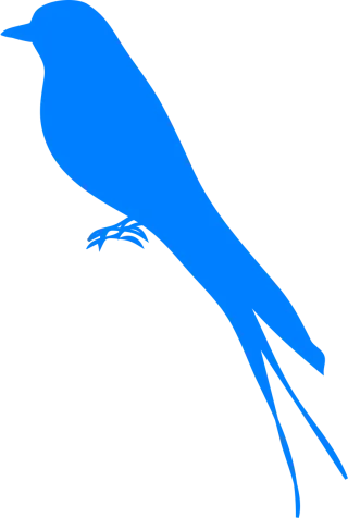Martin Bird Swallow Stickdatei