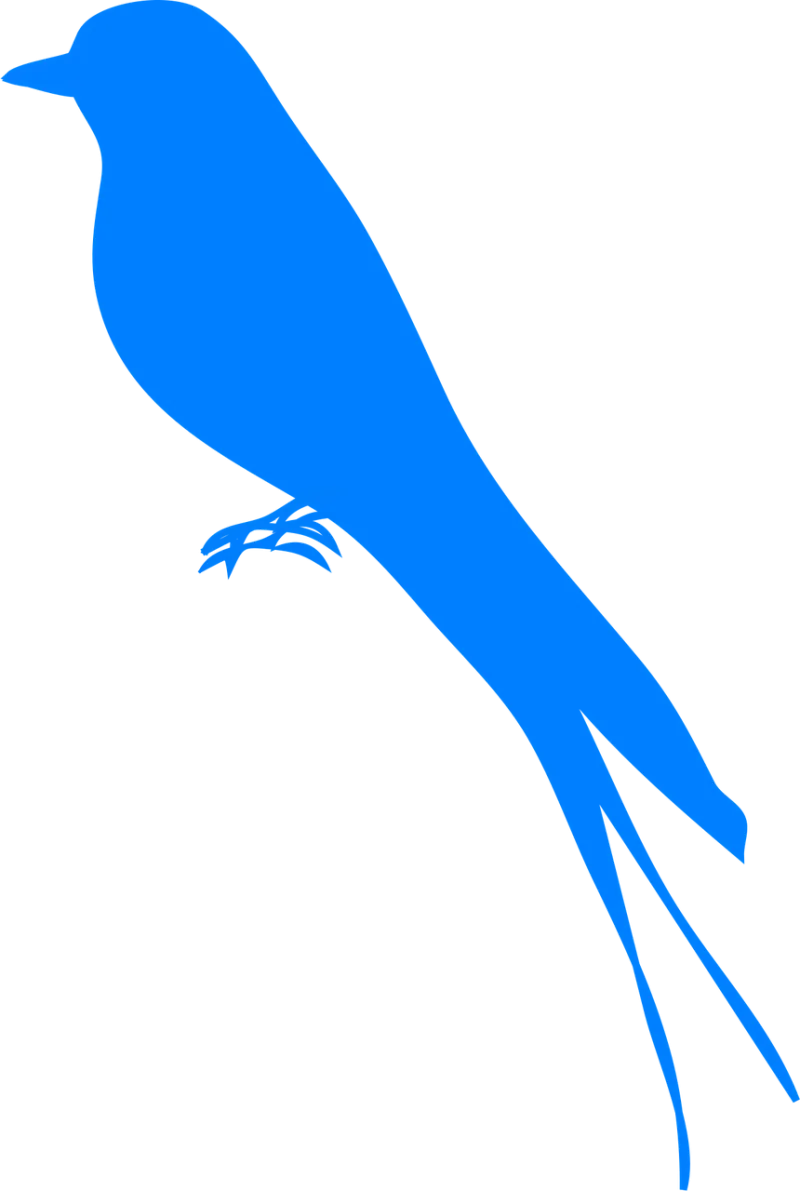 Martin Bird Swallow Stickdatei – Tiere