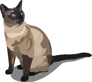 Cat Nature Siam Stickdatei