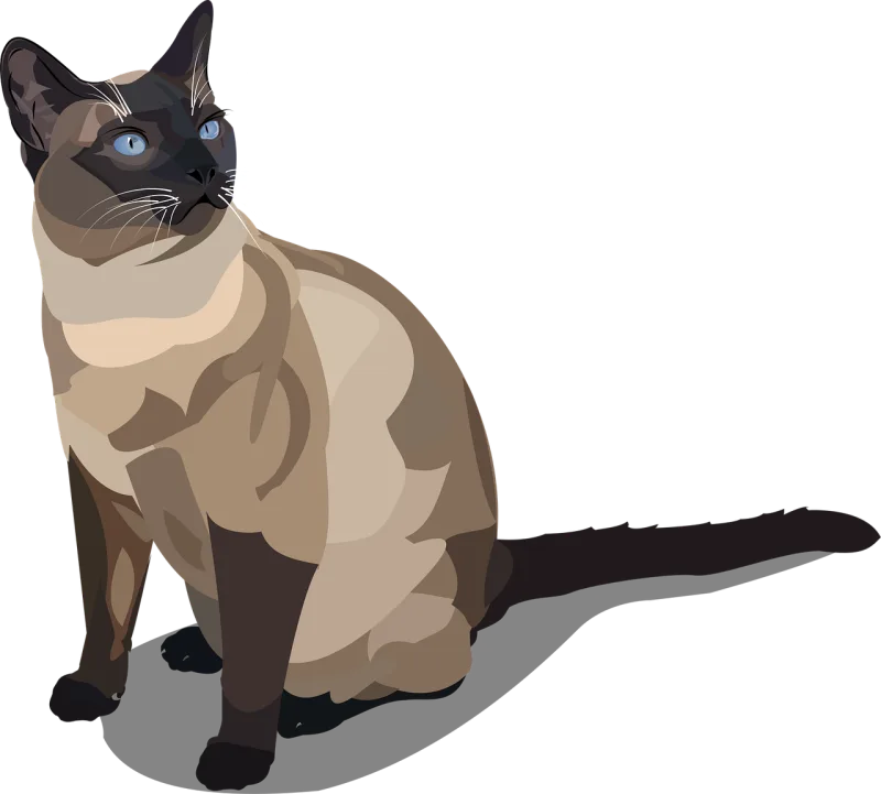 Cat Nature Siam Stickdatei – Tiere