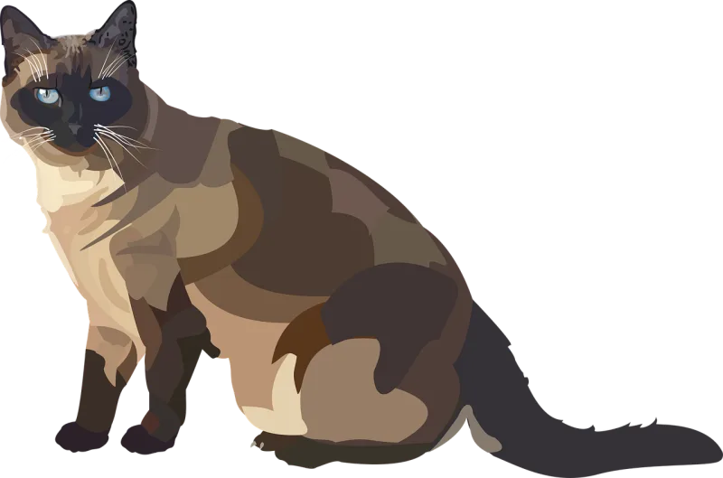 Siam Cat Breed cat Stickdatei – Tiere