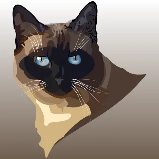Cat Siamese cat Nature Stickdatei