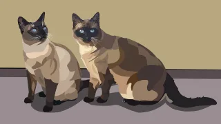 Siamese cat Pets Beige Stickdatei