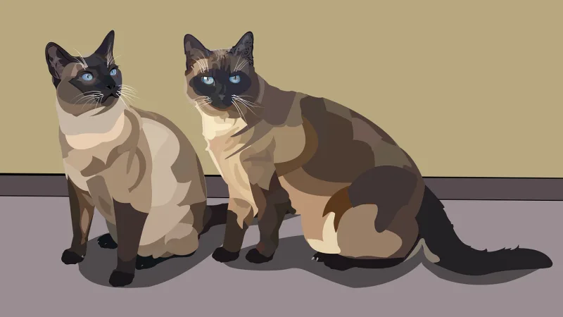 Siamese cat Pets Beige Stickdatei – Tiere