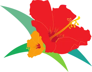 Hibiscus Fresh flowers Red Stickdatei