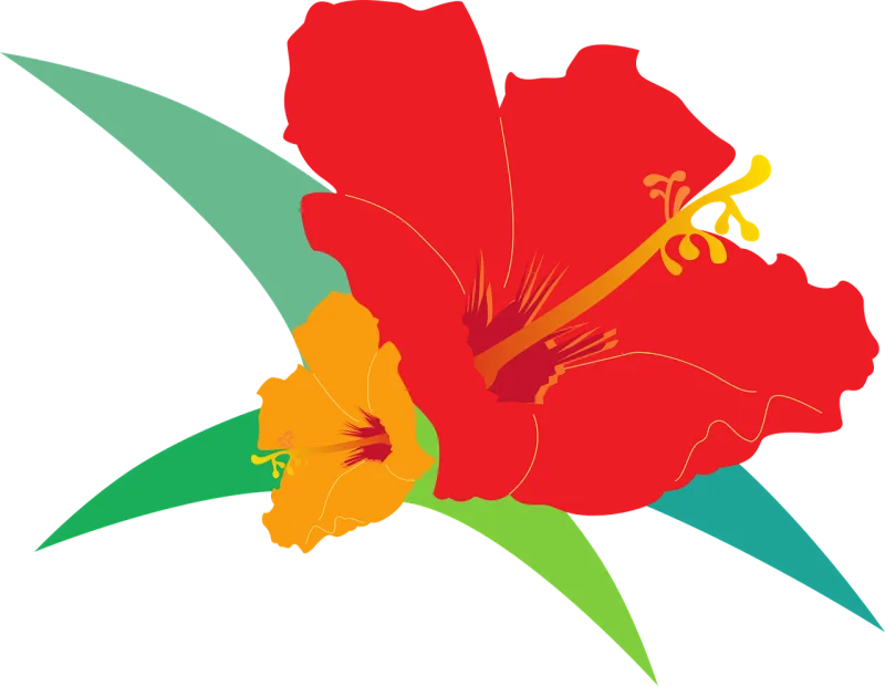 Hibiscus Fresh flowers Red Stickdatei – Blumen