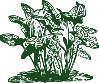 Plant Tropical Leaf Stickdatei