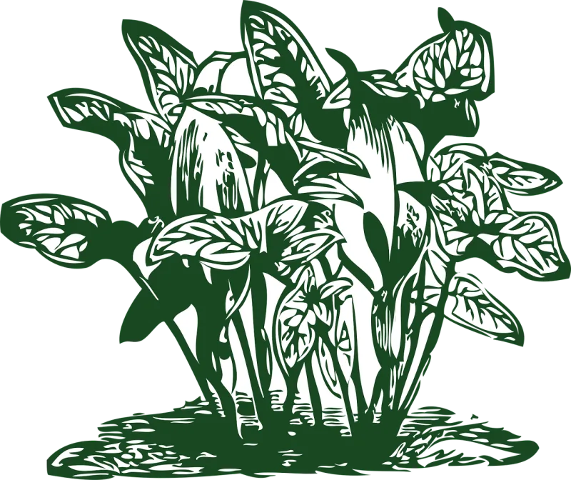 Plant Tropical Leaf Stickdatei – Natur