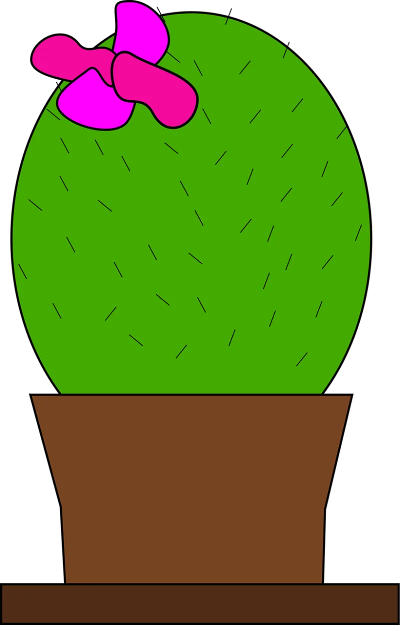 Cactus Nature Plant Stickdatei – Natur