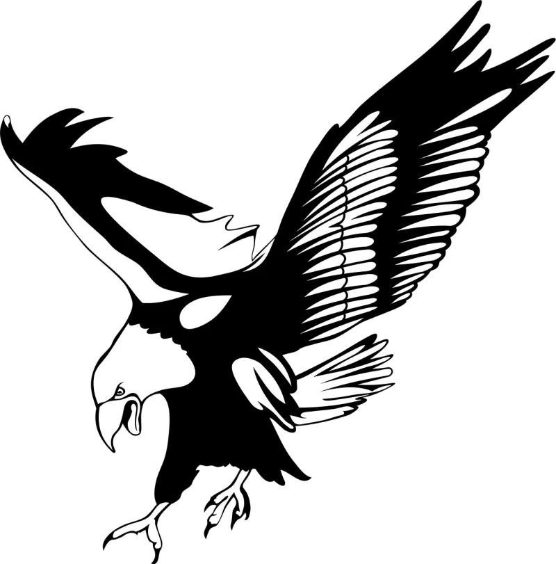 Without background Bird Eagle Stickdatei – Tiere