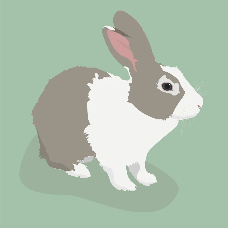 Rabbit Bunny Nature Stickdatei – Tiere