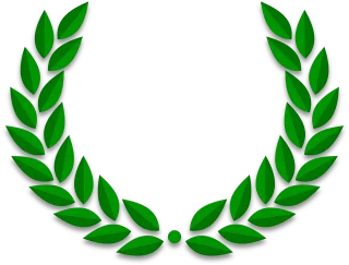 Olive Leaves Branches Stickdatei