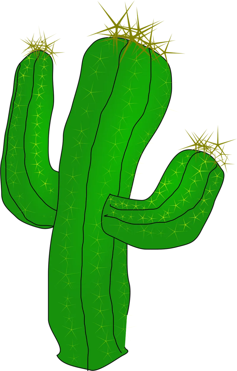Cactus Desert Cacti Stickdatei – Natur