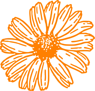 Flower Daisy Orange Stickdatei