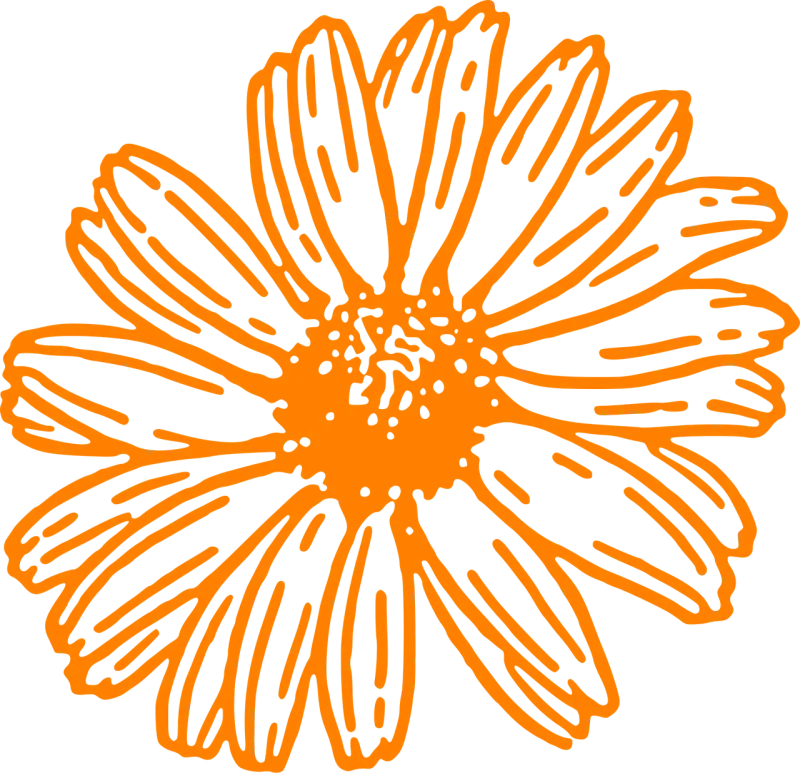 Flower Daisy Orange Stickdatei – Blumen