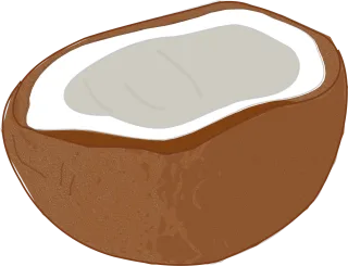 Coconut Coco Tropical Stickdatei