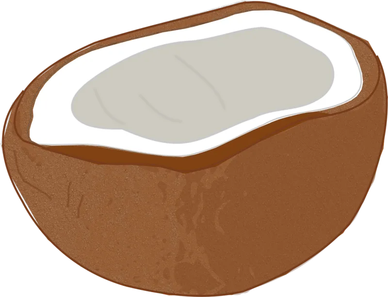Coconut Coco Tropical Stickdatei – Natur