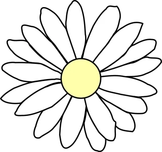 Chamomile Daisy Flower background Stickdatei