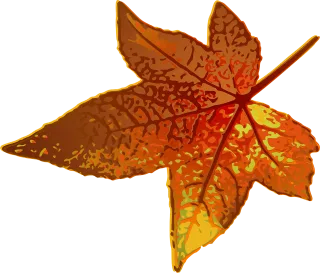 Maple Leaf Brown Stickdatei