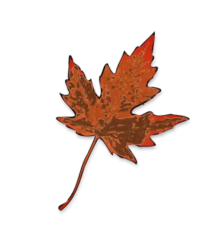Maple Leaf Fall Stickdatei