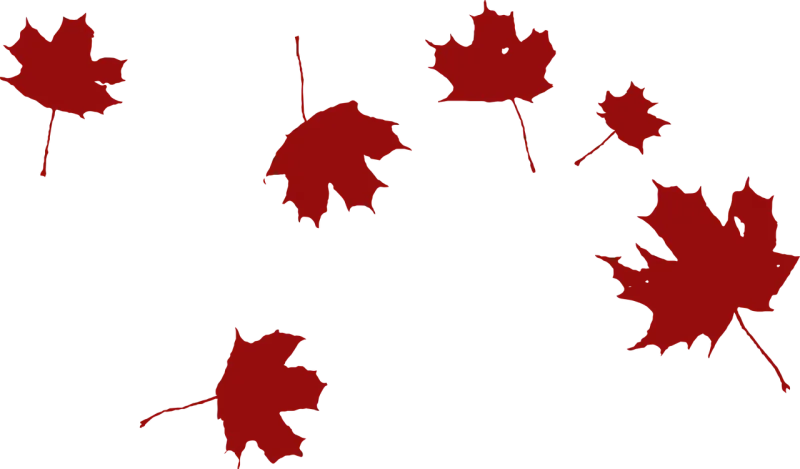 Maple Falling Wind Stickdatei – Natur