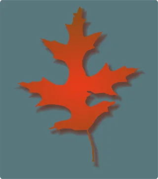 Oak leaf Leaves Autumn leaves Stickdatei