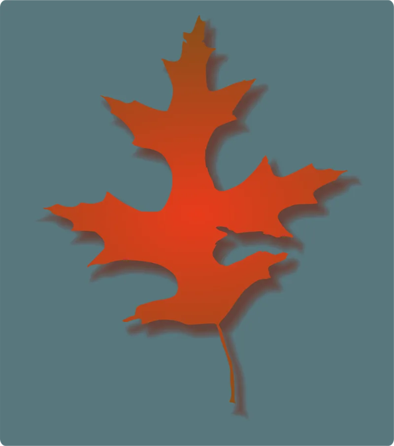 Oak leaf Leaves Autumn leaves Stickdatei – Natur