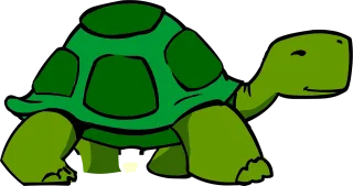 Turtle Carapace Tortoise Stickdatei
