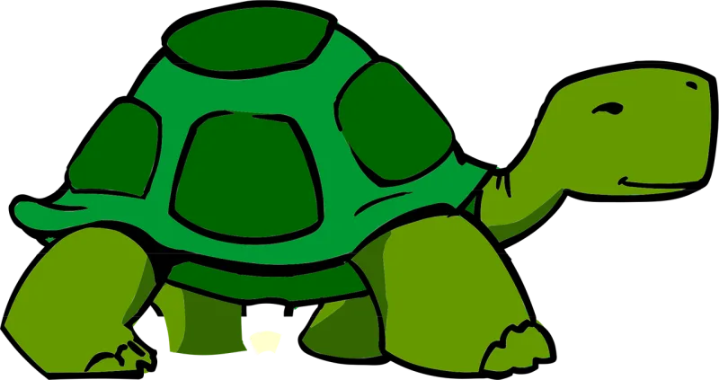 Turtle Carapace Tortoise Stickdatei – Tiere