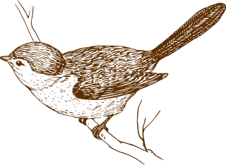 Bird Songbird Branch Stickdatei