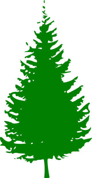 Evergreen Pine Green Stickdatei – Natur