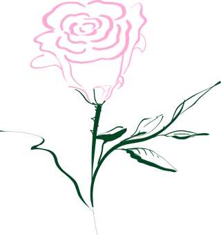 Rose Pink Rose flower Stickdatei – Blumen