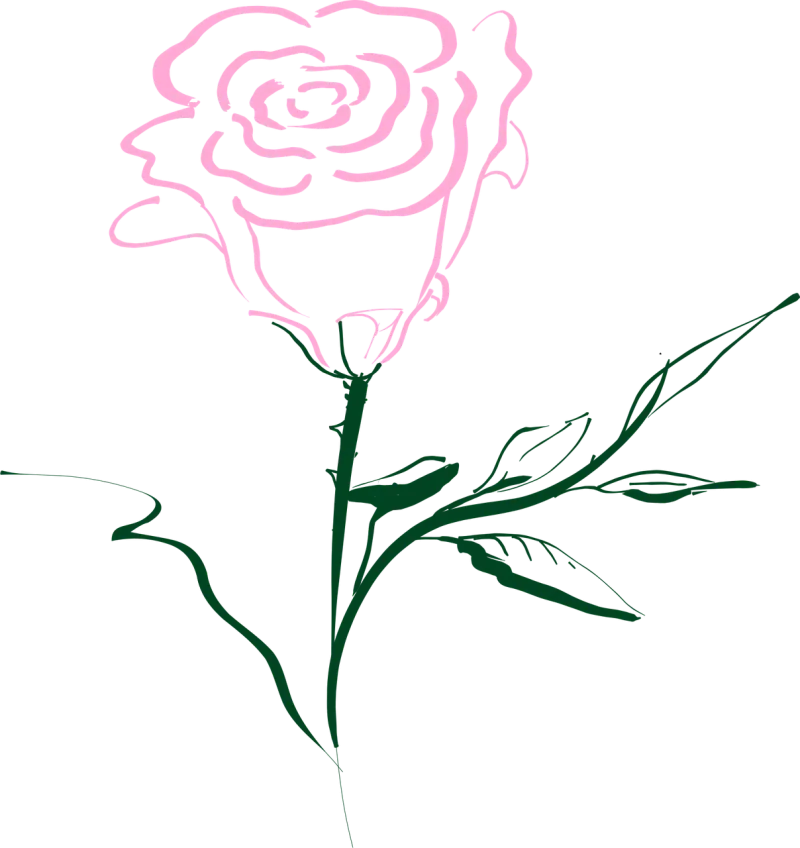 Rose Pink Rose flower Stickdatei – Blumen