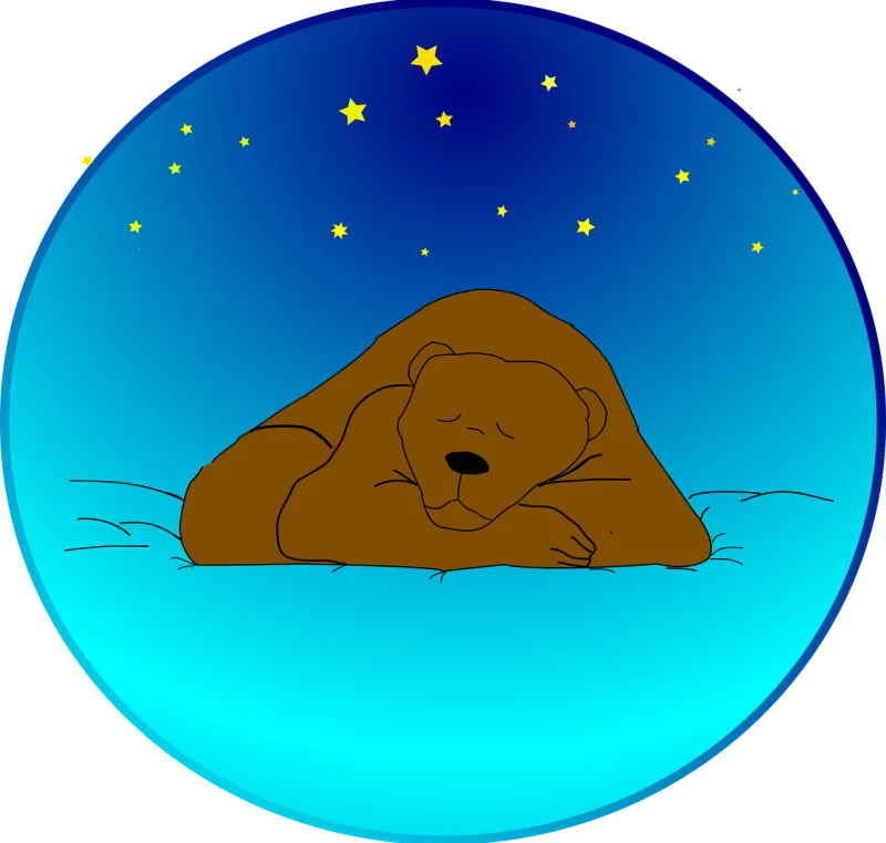 Bear Sleeping Sky Stickdatei – Tiere