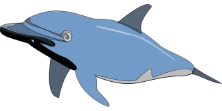 Dolphin Fish Mammal Stickdatei