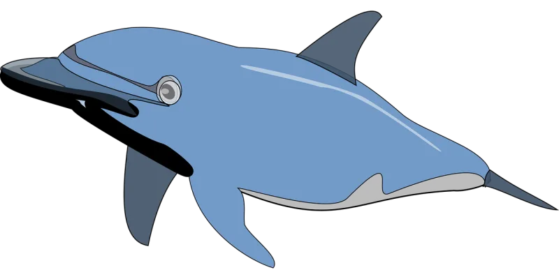 Dolphin Fish Mammal Stickdatei – Tiere