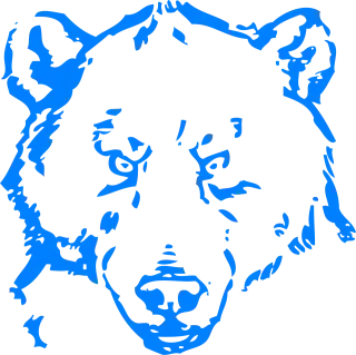 Bear Head Angry Stickdatei