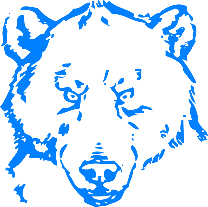 Bear Head Angry Stickdatei – Tiere