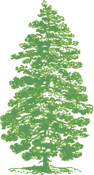 Pine Tree Nature Stickdatei