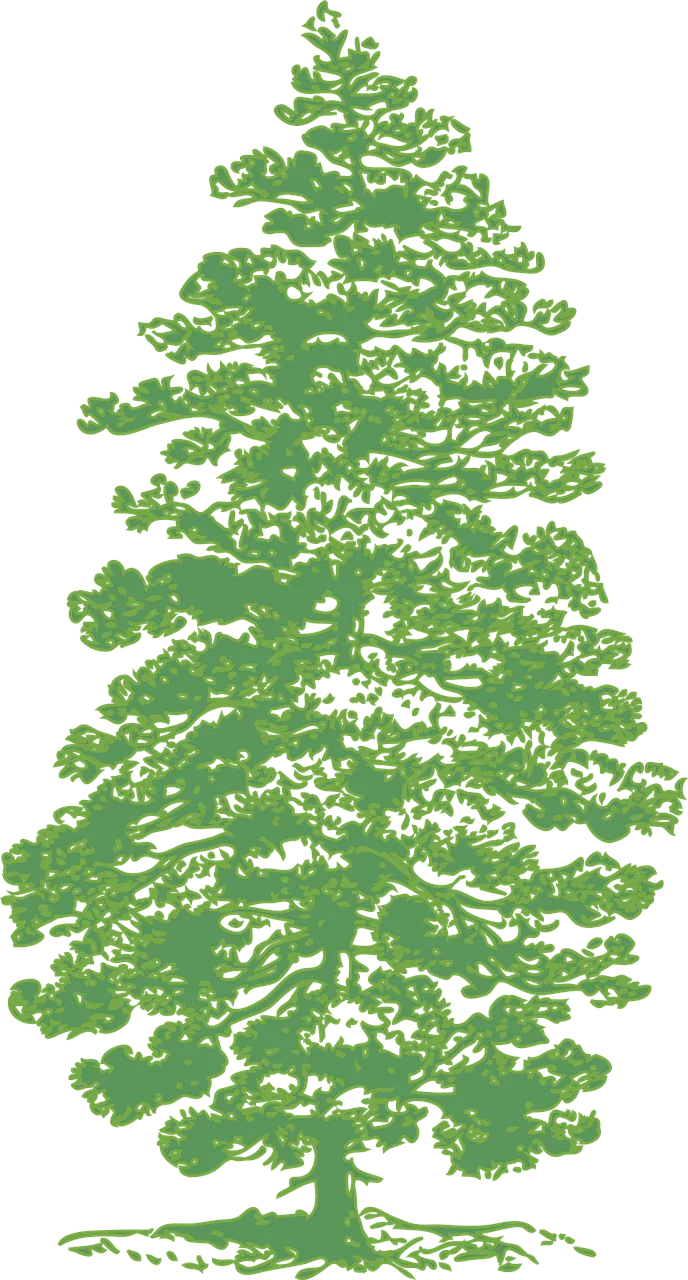 Pine Tree Nature Stickdatei – Natur
