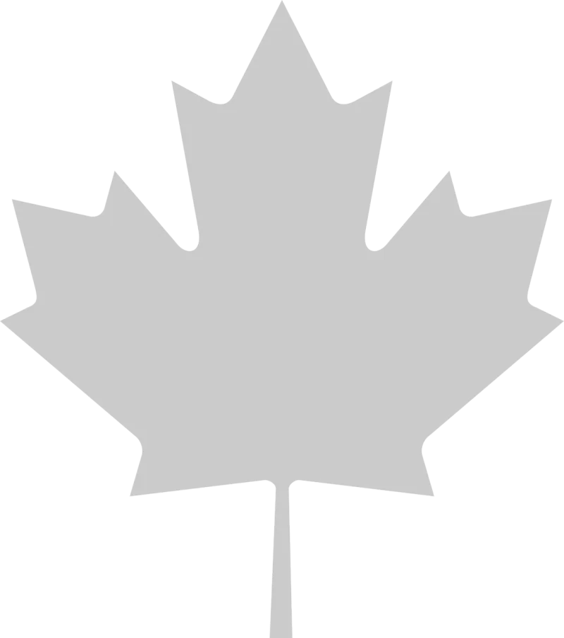 Maple Leaf Nature Stickdatei – Natur