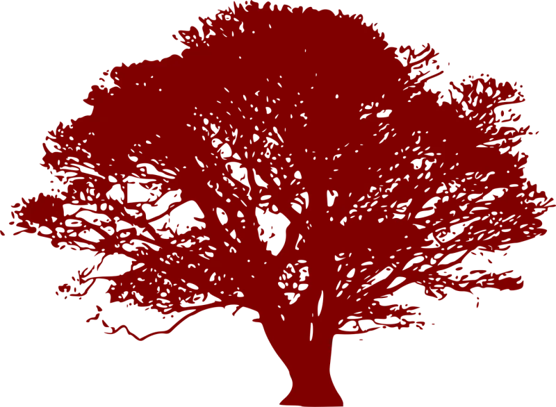 Tree Red Drawing Stickdatei – Natur