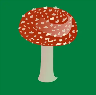 Mushroom Red Plant Stickdatei