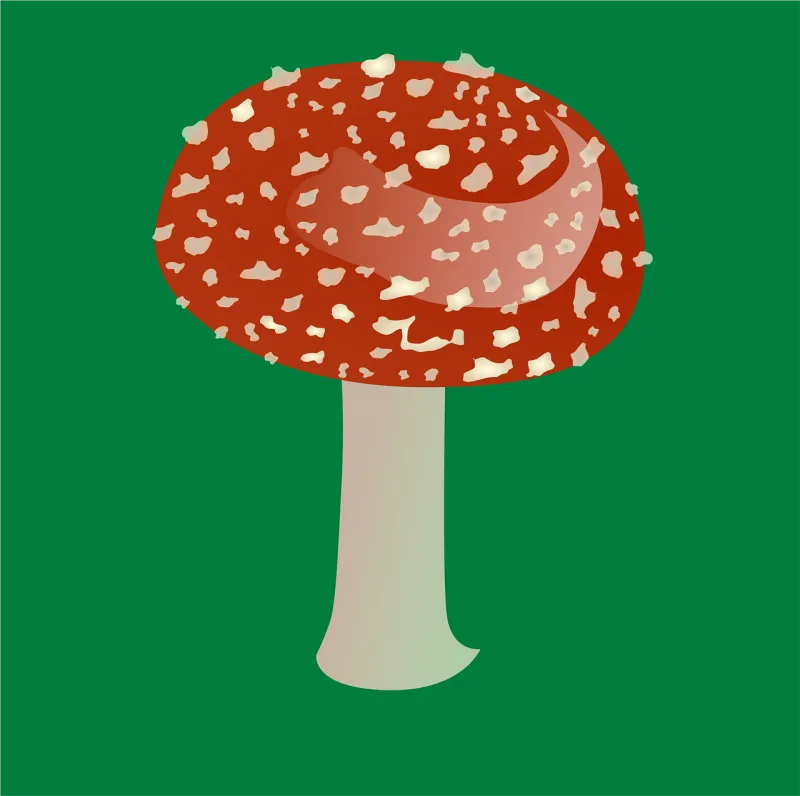 Mushroom Red Plant Stickdatei – Natur
