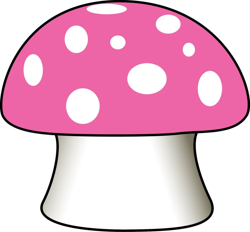 Mushroom Spotted Toadstool Stickdatei – Natur