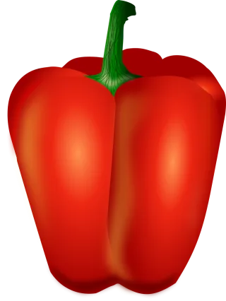 Bell pepper Red Food Stickdatei