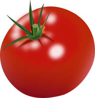 Tomato Ripe Red Stickdatei
